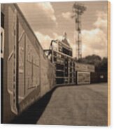 Rickwood Field Fence Wood Print