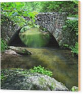 River Bridge Series Y6536 Wood Print