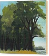River Trees - Washington, Missouri Wood Print
