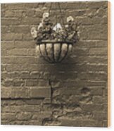 Rochester, New York - Wall And Flowers Sepia Wood Print