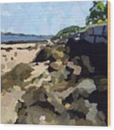 Rock Wall Looking South On Ten Pound Island, Gloucester, Ma Wood Print