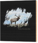 Rocky Mountain Elk Wood Print