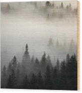 Rocky Mountain Fog Wood Print