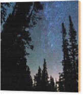 Rocky Mountain Forest Night Wood Print