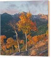 Rocky Mountain National Park Autumn Wood Print