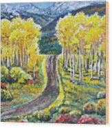 Rocky Mountain Road Wood Print
