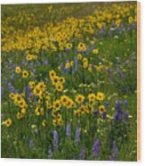 Rocky Mountain Wildflowers Wood Print