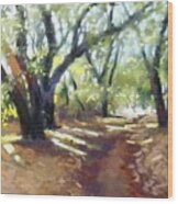 Rocky Oak Park Wood Print