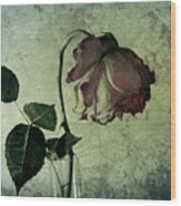 Rose Flower In A Vase 4 Wood Print