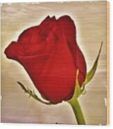 Rose In Red Wood Print