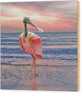 Roseate Spoonbill At Sundown Wood Print