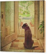 Rosebud At The Door Wood Print