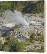 Rotorua Geothermal Wood Print