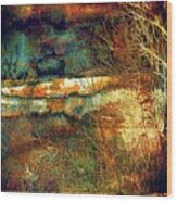 Rusty Landscape Wood Print