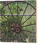 Rusty Wagon Wheel On Fence Wood Print