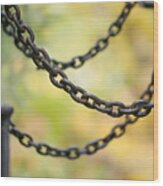 Safety Chains Wood Print