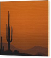 Saguaro Sunset Wood Print