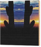 Saguaro Sunset Mirror Wood Print