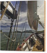 Sailing Wood Print