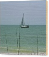 Sailing In The Gulf Wood Print