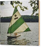 Sailing On Lake Dunmore No. 1 Wood Print
