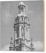 Saint Mary Of The Woods Church Tower Wood Print