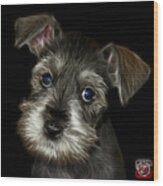 Salt And Pepper Schnauzer Puppy 7206 F Wood Print