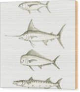 Saltwater Gamefishes Wood Print