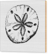 Sand Dollar Wood Print