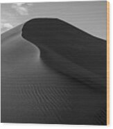 Sand Dune Beetle Tracks Wood Print