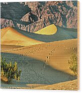 Sand Dunes - Death Valley Wood Print