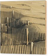 Sand Dunes Of The Outer Banks Wood Print
