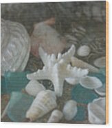 Sand, Shells, And Sea Glass 9870 Wood Print