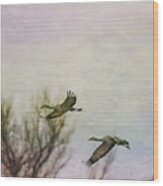 Sandhill Cranes Flying - Texture Wood Print