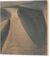 Sands Of Jockey's Ridge 1389 Wood Print