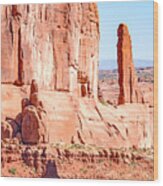 Sandstone Butte And Canyon Floor, Arches National Park, Moab, Ut Wood Print