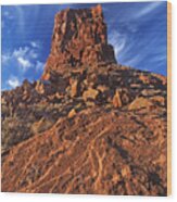 Sandstone Monolith Valley Of The Gods Utah Wood Print