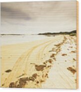 Sandy Tasmanian Shores Wood Print