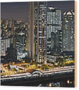 Sao Paulo Iconic Skyline - Cable-stayed Bridge Wood Print