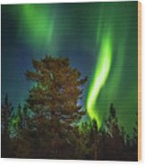 Sapmi Park Tree Under The Northern Lights Karasjok Norway Wood Print