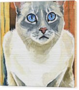 Sapphire Eyes - Snowshoe Siamese Cat Portrait Wood Print