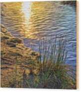 Sauble Beach Sunset - Rivulet And Dune Grass Wood Print