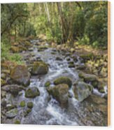 Savegre River - Costa Rica Wood Print