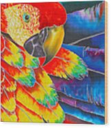 Scarlet Macaw Wood Print