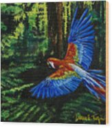Scarlet Macaw In The Forest Wood Print
