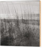 Hilton Head Dunes Black And White Wood Print