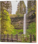 Scenic Waterfalls Wood Print