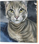 Scout - Cat Portrait Wood Print