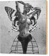 Scream Of A Butterfly Ii Wood Print