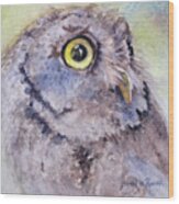 Screech Owl Wood Print
